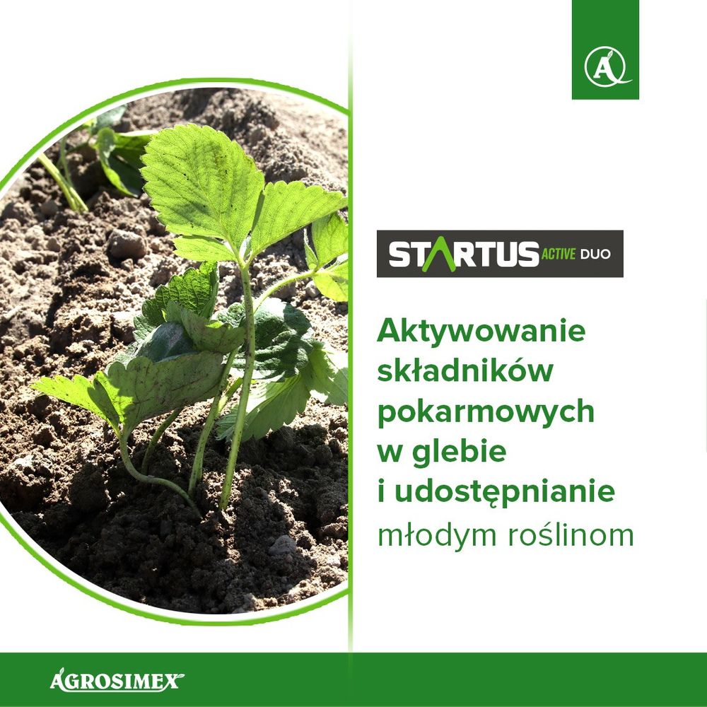 Startus Active Duo - aktywuje składniki pokarmowe w glebie i udostępnia je młodym roślinom