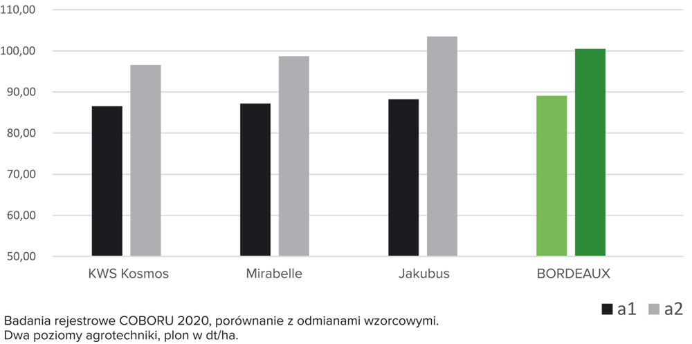 plonowanie jęczmienia ozimego Bordeaux na tle różnych odmian wzorcowych (2020 rok)