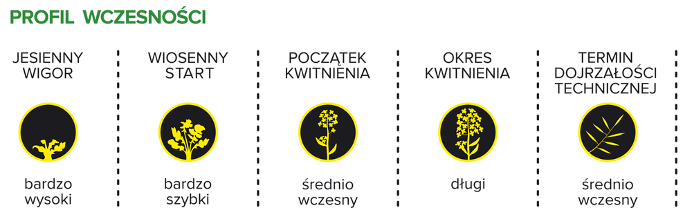 Profil wczesności rzepaku ozimego z nasion Crossfit