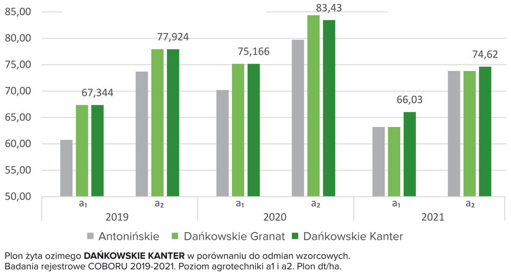 Plonowanie żyta ozimego Dańkowskie Kanter w porównaniu do odmian wzorcowych