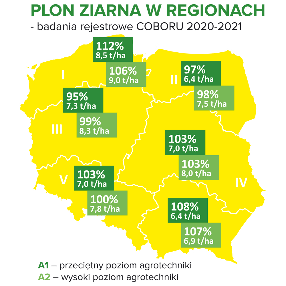 Plonowanie żyta ozimego z nasion Dańkowskie Kanter w różnych regionach Polski
