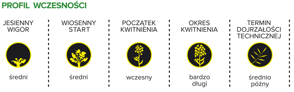 Profil wczesności rzepaku ozimego z nasion Kwazar