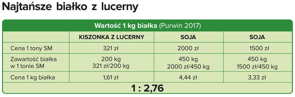 Dlaczego lucerna siewna Dimitra jest najtańszym źródłem białka?