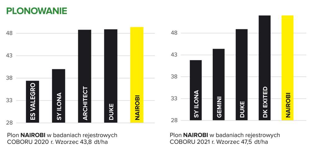 plonowanie Nairobi na tle innych odmian rzepaku - badania COBORU