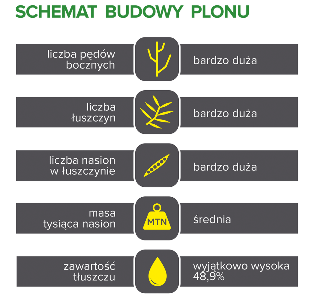 Schemat budowy plonu nasion rzepaku ozimego PT315