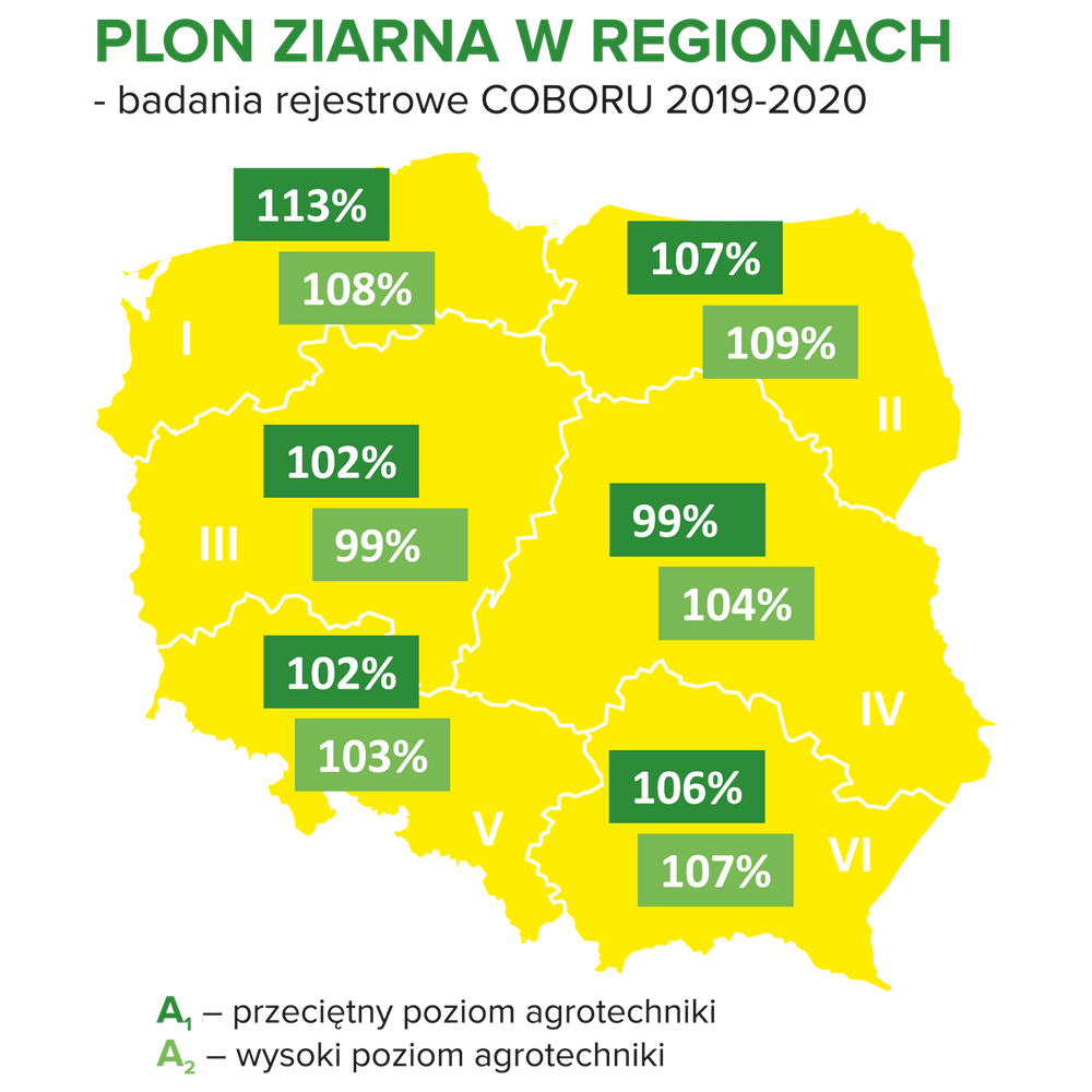 Plonowanie pszenicy ozimej RGT Provision w różnych regionach Polski
