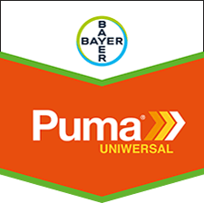Logo Puma Uniwersal