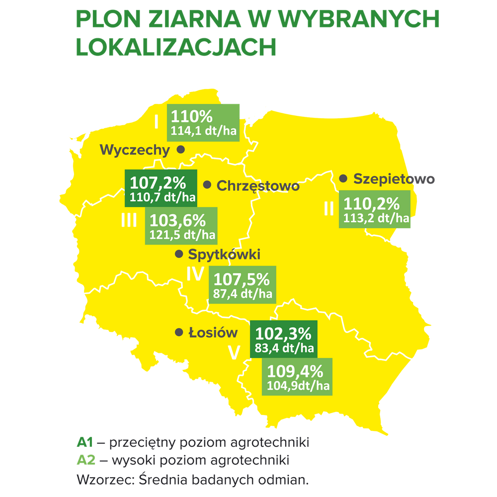 Plonowanie żyta ozimego z nasion SU Laurids w różnych regionach Polski