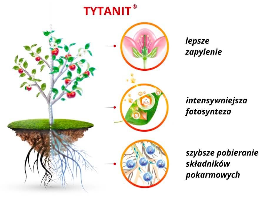 Tytanit - stymulator roślin