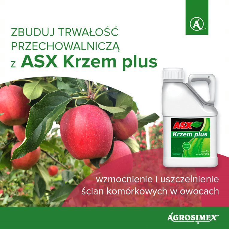 ASX Krzem Plus