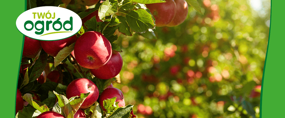 Next Pro Koncentrat Twój Ogród - naturalny sposób zwalczania owadów w uprawie owoców w tym jabłoni