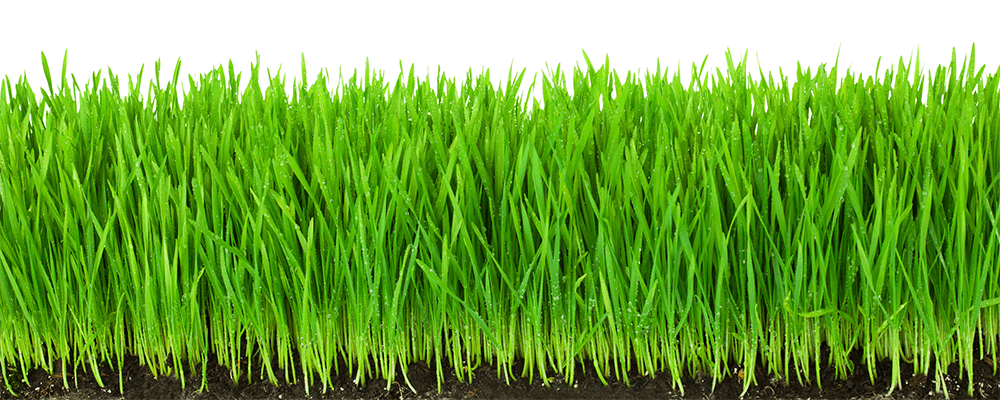 Kreda nawozowa mielona granulowana Twój Ogród - nawóz do trawy