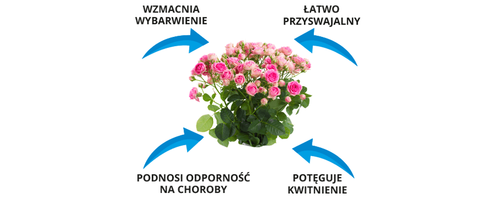 Nawóz do róż i roślin balkonowych Twój Ogród - korzyści ze stosowania