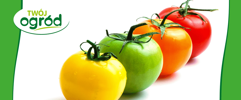 Nawóz do pomidorów, ogórków i papryki Twój Ogród - obfite plony