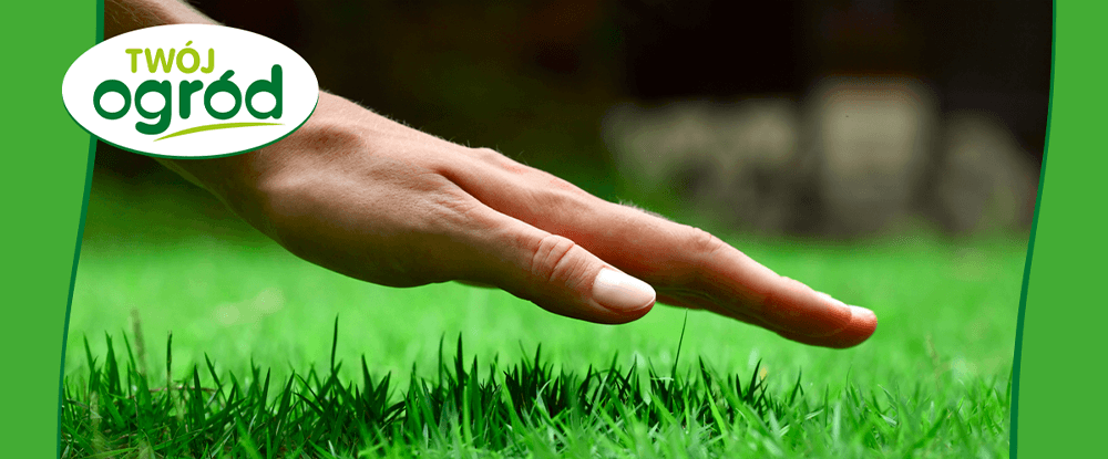Nawóz Pierwsza pomoc do trawników Twój Ogród - zdrowa zielona darń