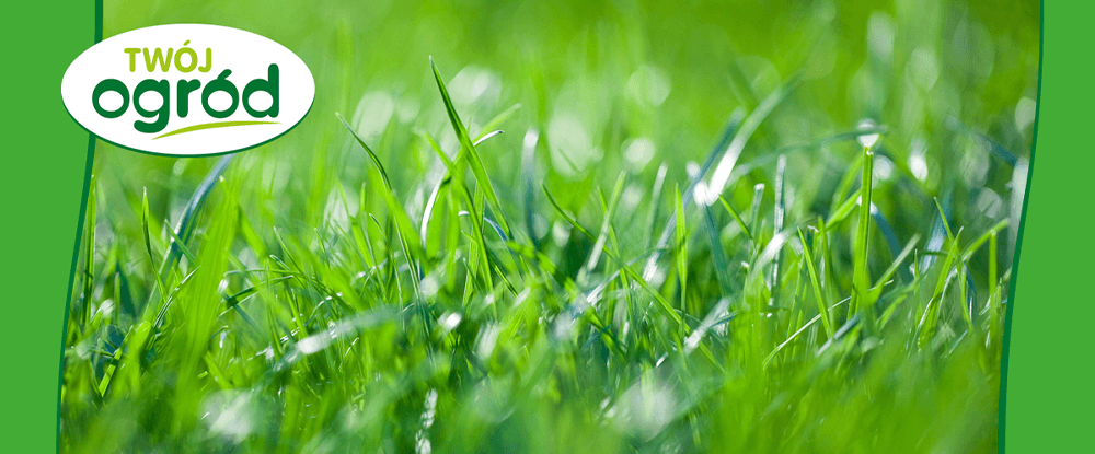 Nawóz Pierwsza pomoc do trawników Twój Ogród - zdrowa zielona darń
