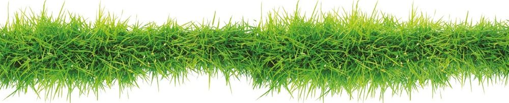 Nasiona trawy Zacieniony Mix Twój Ogród