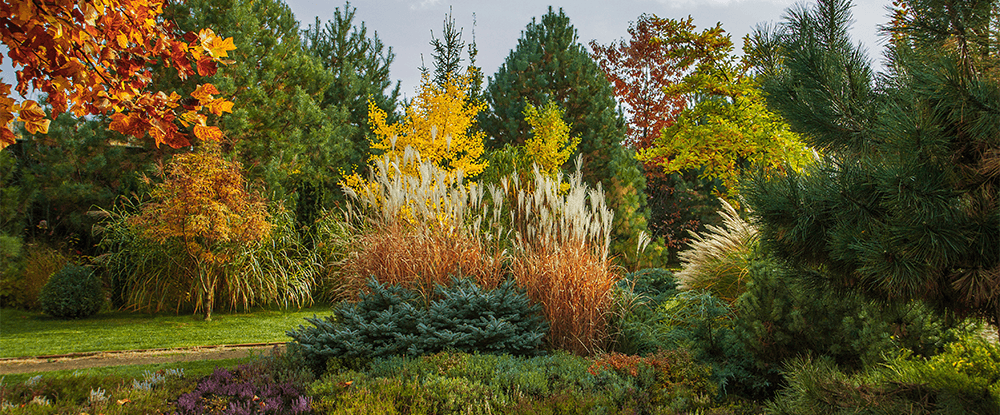 Florovit Jesienny granulowany - nawóz do nawożenia roślin wieloletnich uniwersalny
