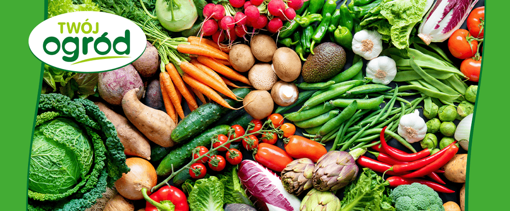 Pleśń Stop Twój Ogród - środek grzybobójczy w ochronie warzyw