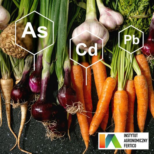 Badanie zawartości dowolnego metalu Cd, Pb, As zawartość metali ciężkich w owocach, warzywach i ich przetworach