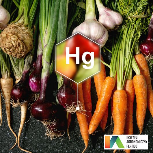 Badanie oznaczenie Hg zawartość metali ciężkich w owocach, warzywach i ich przetworach