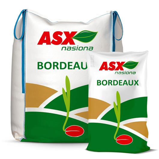 Jęczmień ozimy Bordeaux ASX Nasiona