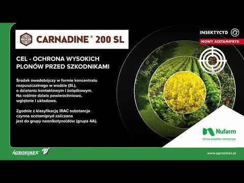 Carnadine 200 SL (acetamipryd) - skuteczny insektycyd