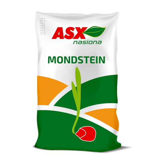 Nasiona kukurydzy Mondstein C1 FAO 240-250
