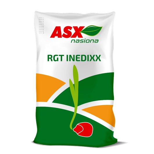 Nasiona kukurydzy RGT Inedixx C1 FAO 270-280