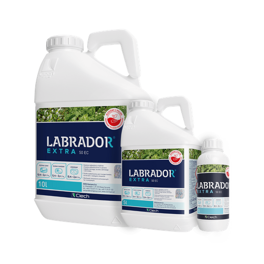 Labrador Extra 50 EC (chizalofop) - środek chwastobójczy