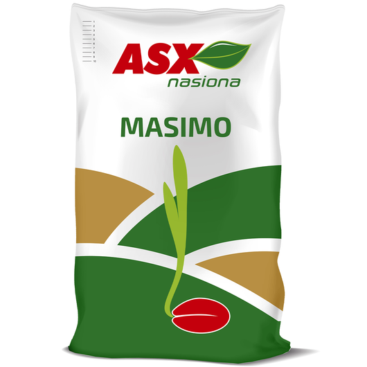 Nasiona jęczmień jary Masimo C1