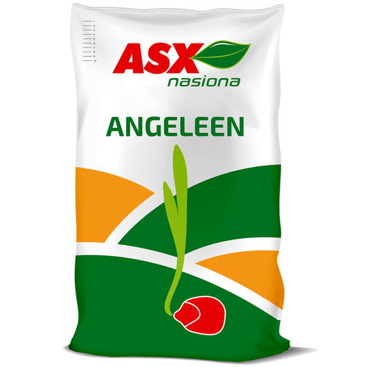 Nasiona kukurydzy Angeleen C1 FAO 240-250 50 tys nasion