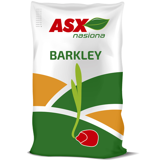 Nasiona kukurydzy Barkley C1 FAO 250 50 tys nasion