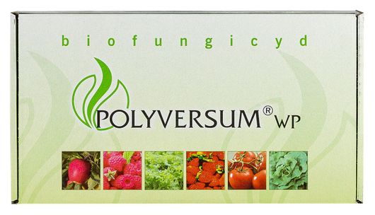 Polyversum WP (pythium oligandrum)