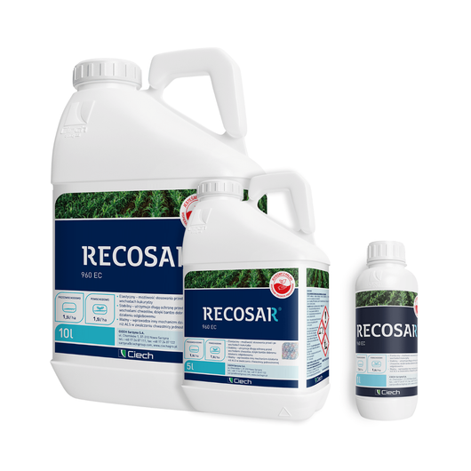 Recosar 960 EC (metolachlor-s) - środek chwastobójczy w uprawie kukurydzy