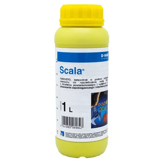 Scala 1l (pirymetanil) BASF - fungicyd