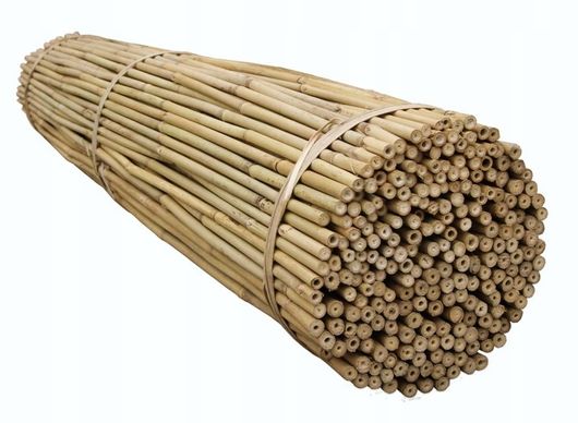 tyczka-bambusowa2-1